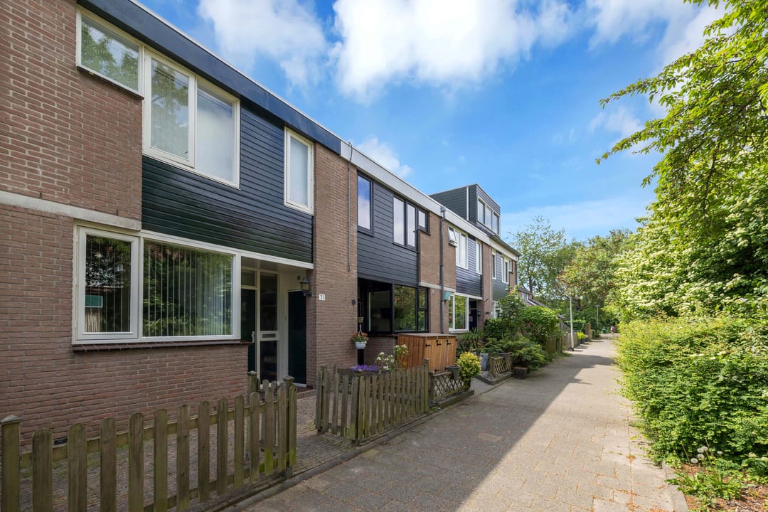 Foto 8 van Prunus 30