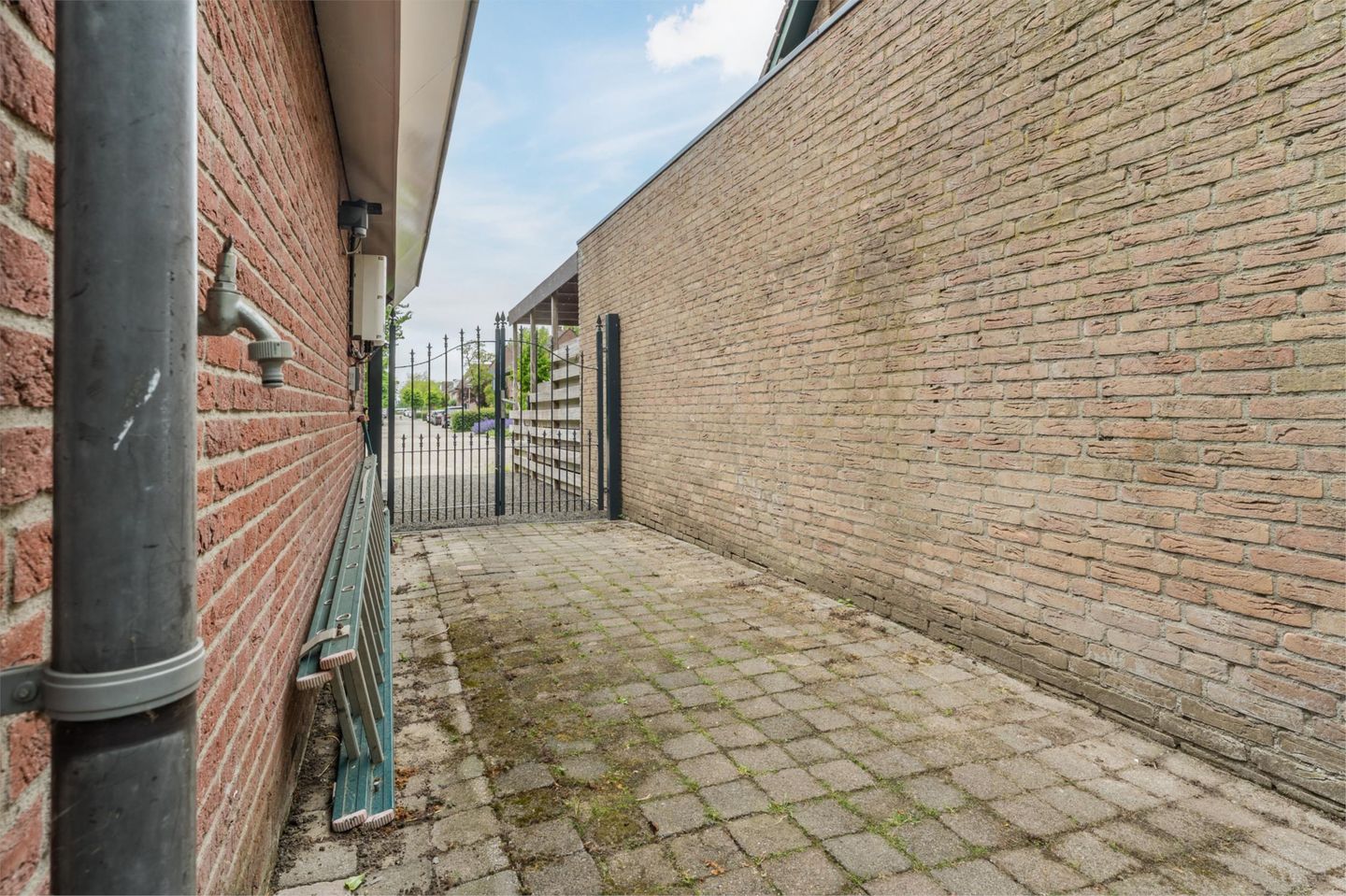 Foto 55 van Witte Klaver 11