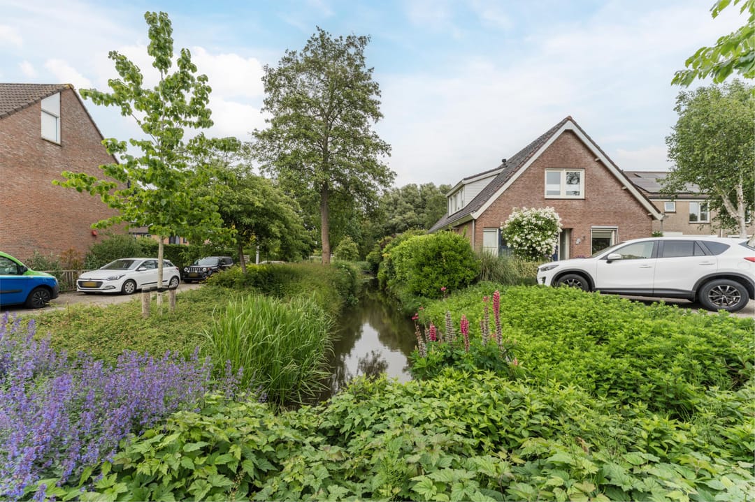 Foto 56 van Witte Klaver 11