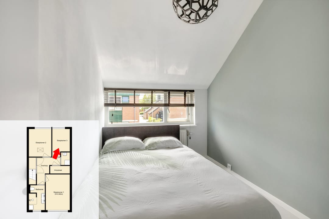 Foto 37 van Prunus 30