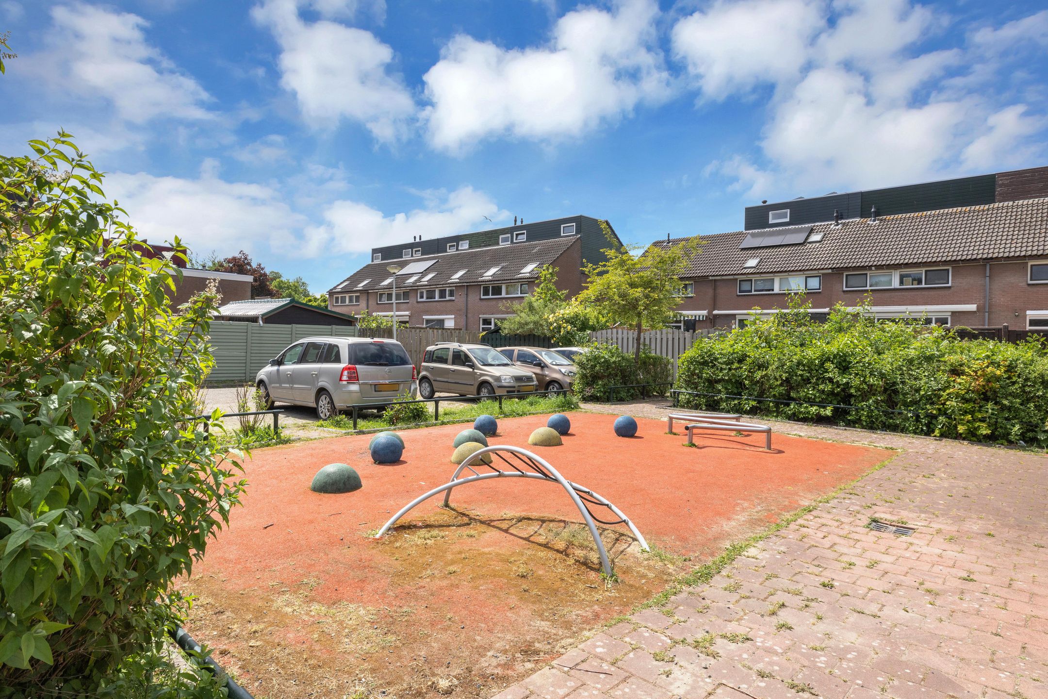 Foto 45 van Prunus 30