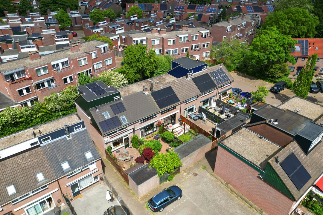 Foto 46 van Prunus 30