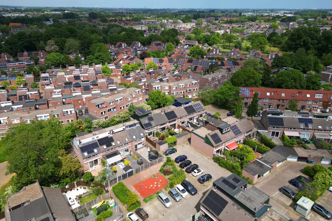 Foto 47 van Prunus 30