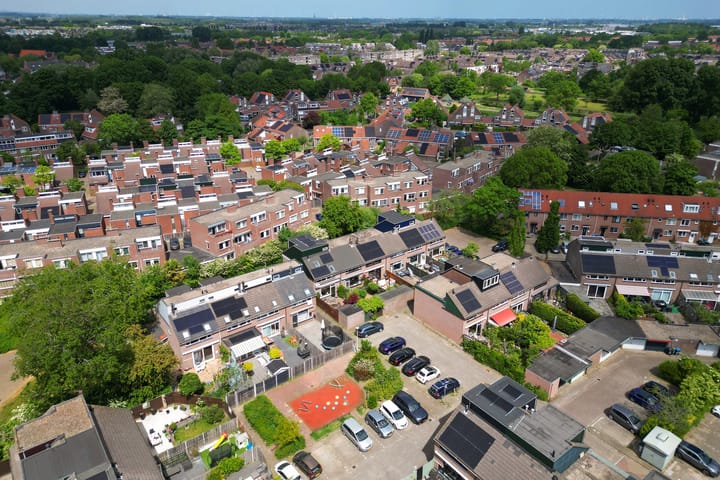 Foto 47 van Prunus 30