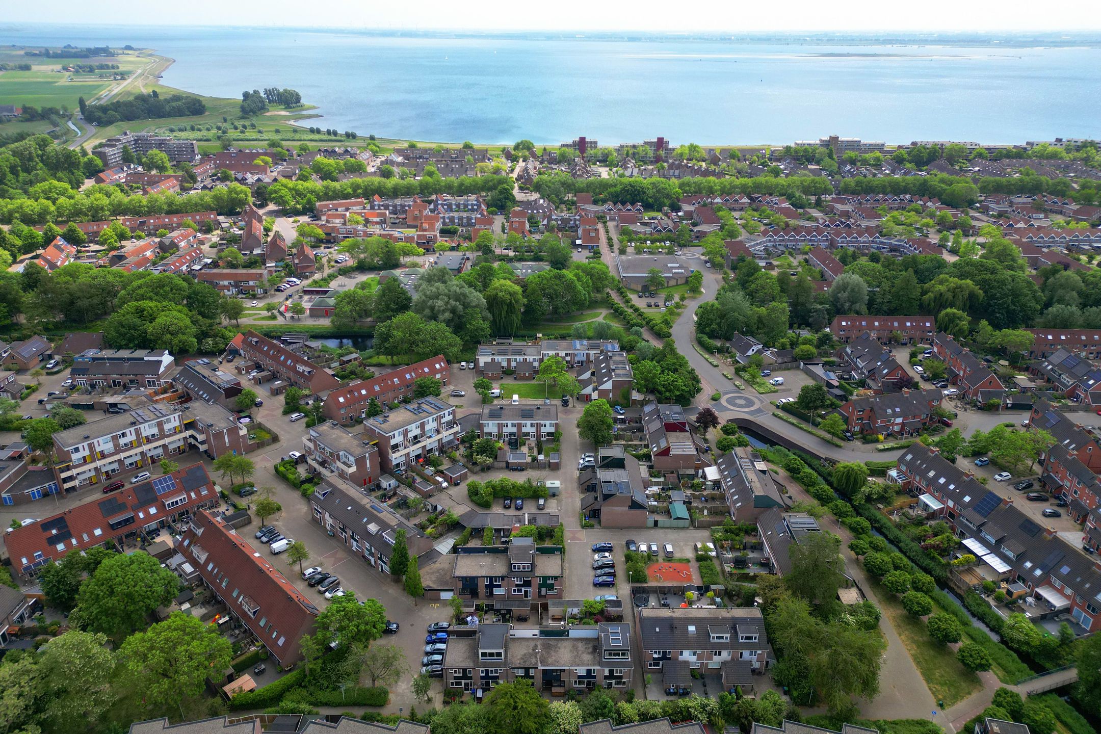 Foto 48 van Prunus 30