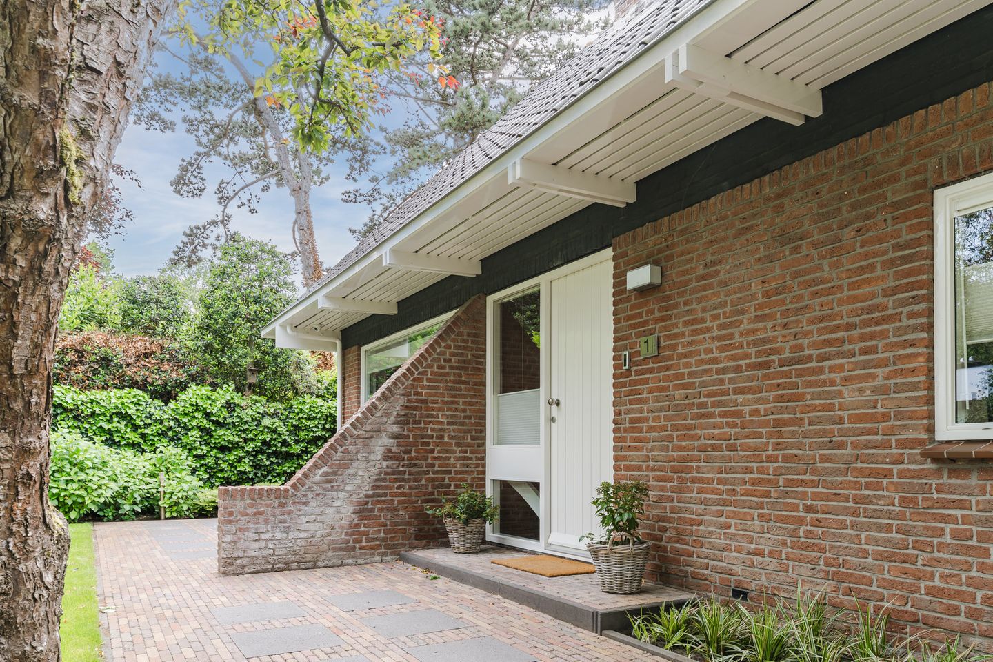 Foto 4 van 't Horntje 1