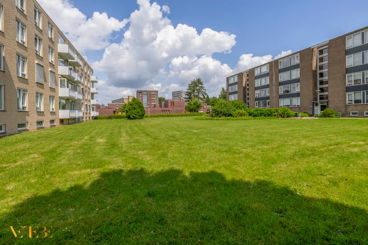 Foto 28 van Laaghuissingel 15