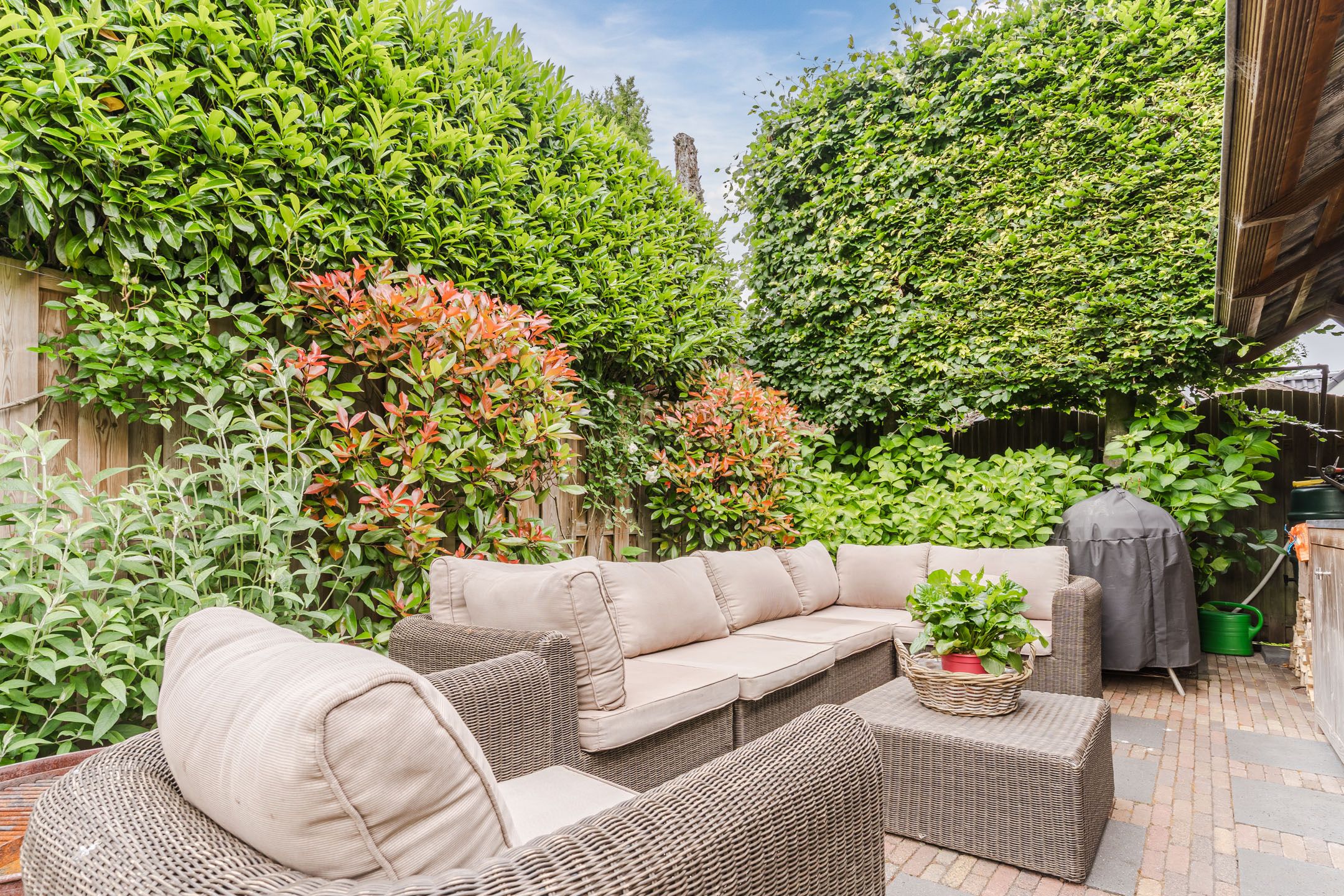 Foto 42 van 't Horntje 1