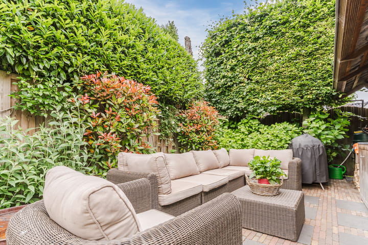 Foto 42 van 't Horntje 1