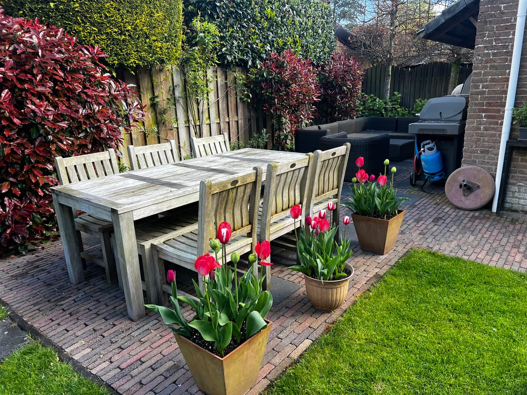 Foto 43 van 't Horntje 1