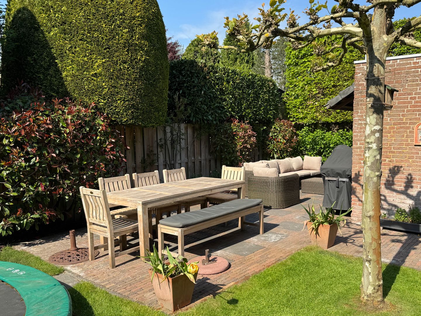 Foto 44 van 't Horntje 1