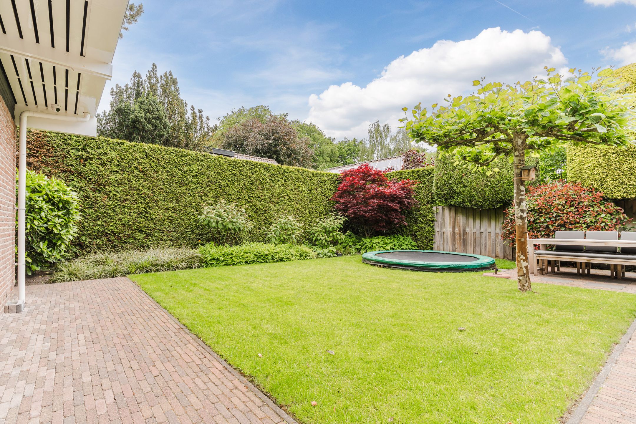 Foto 45 van 't Horntje 1