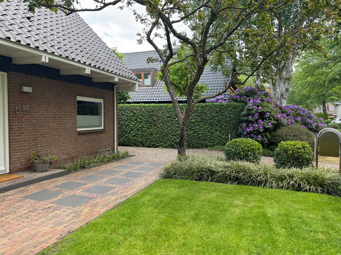 Foto 50 van 't Horntje 1