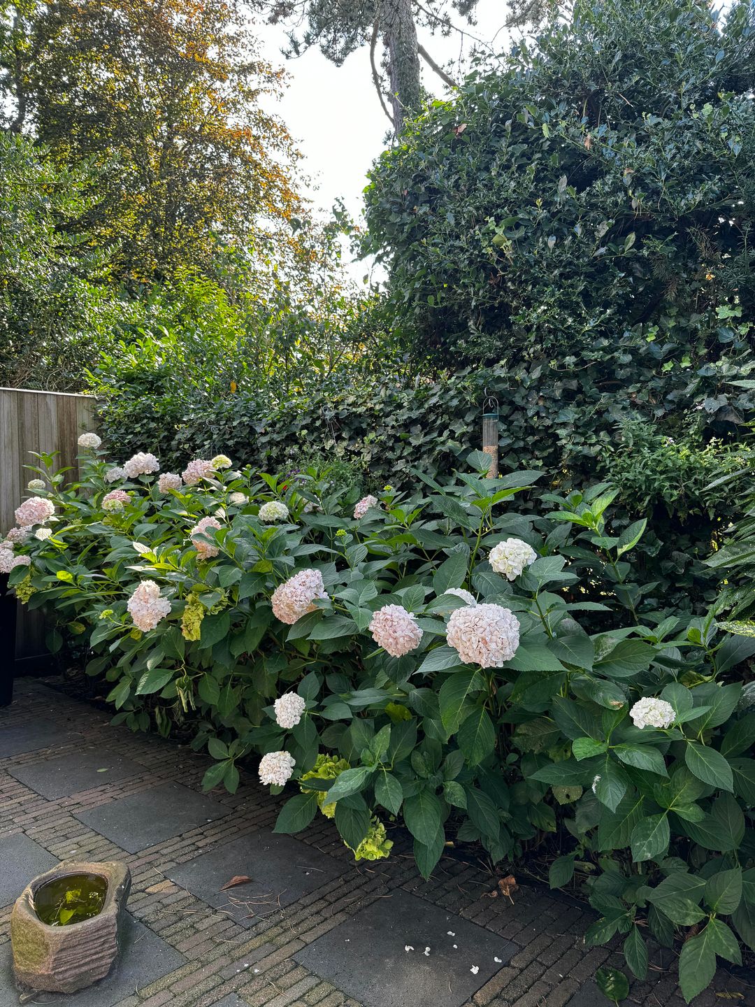 Foto 52 van 't Horntje 1