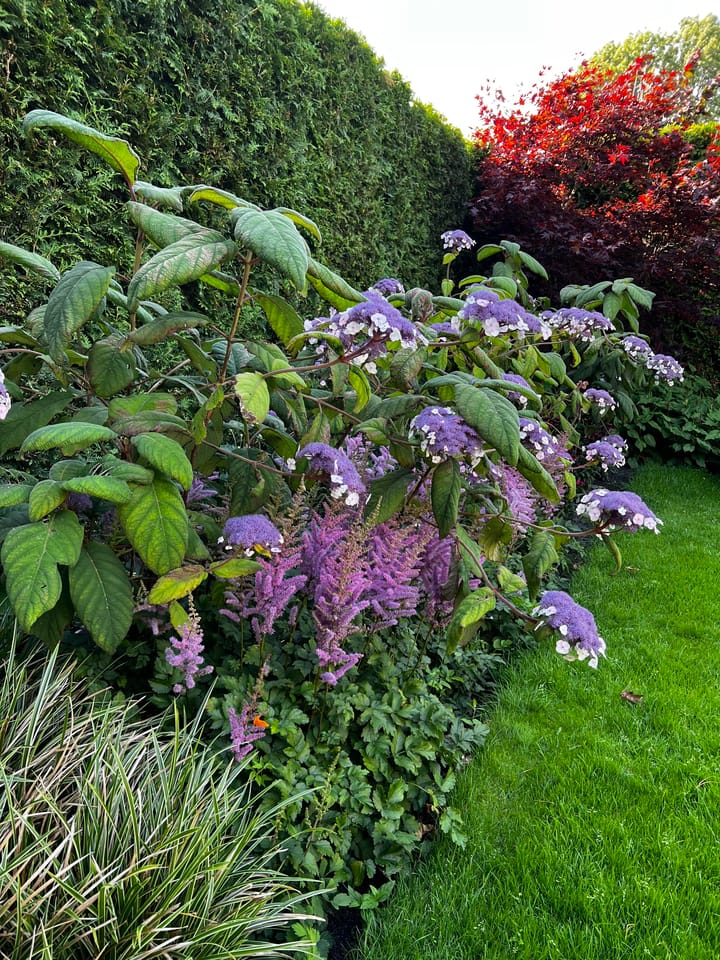 Foto 53 van 't Horntje 1