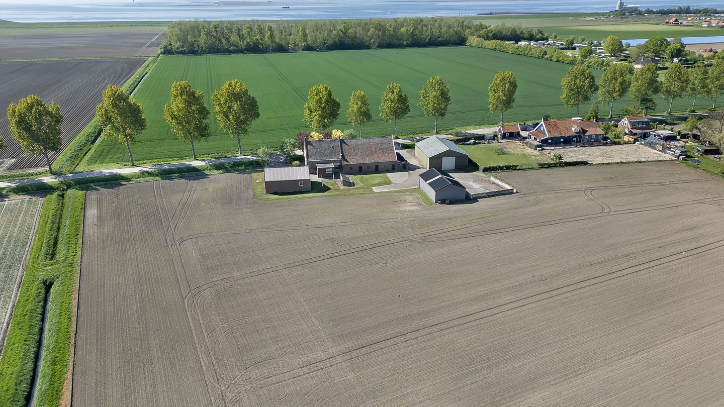 Bekijk foto 3 van Hartogsweg 4