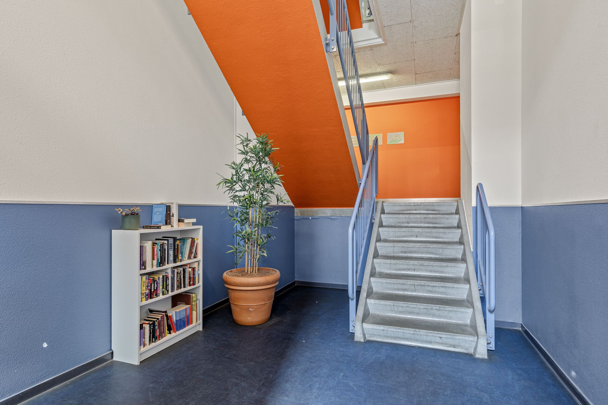 Foto 9 van Grote Haag 93