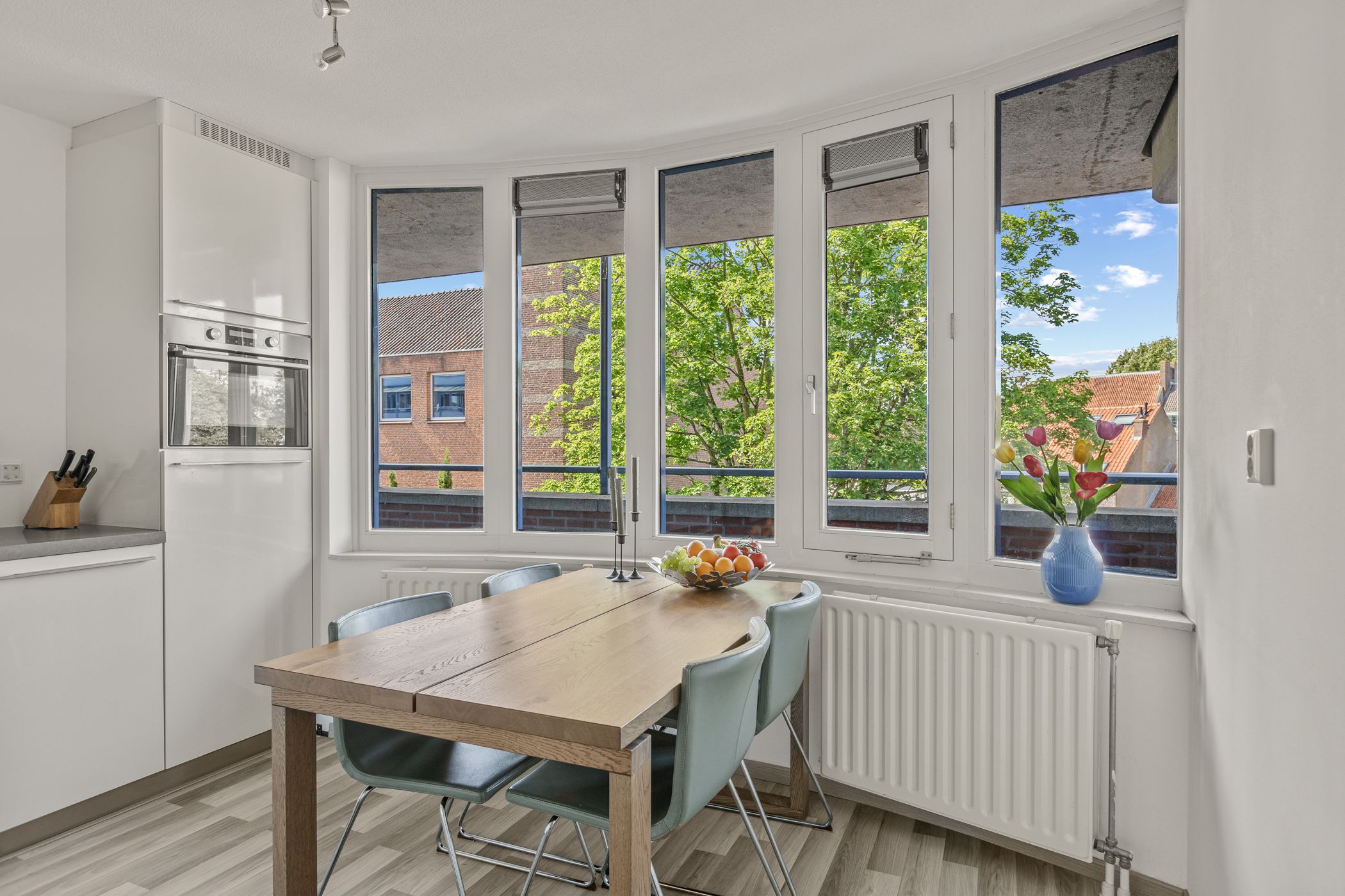 Foto 21 van Grote Haag 93