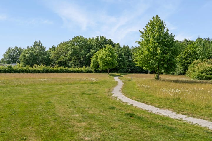 Foto 48 van De Hoorns 42