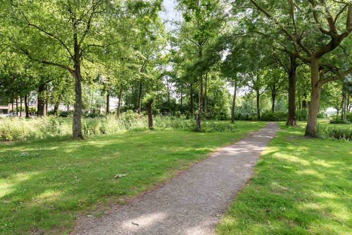 Foto 31 van Dorus Rijkersstraat 43