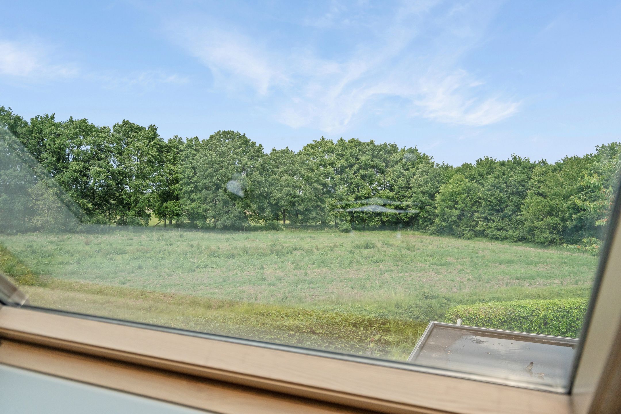 Foto 39 van Korenbloemweg 30