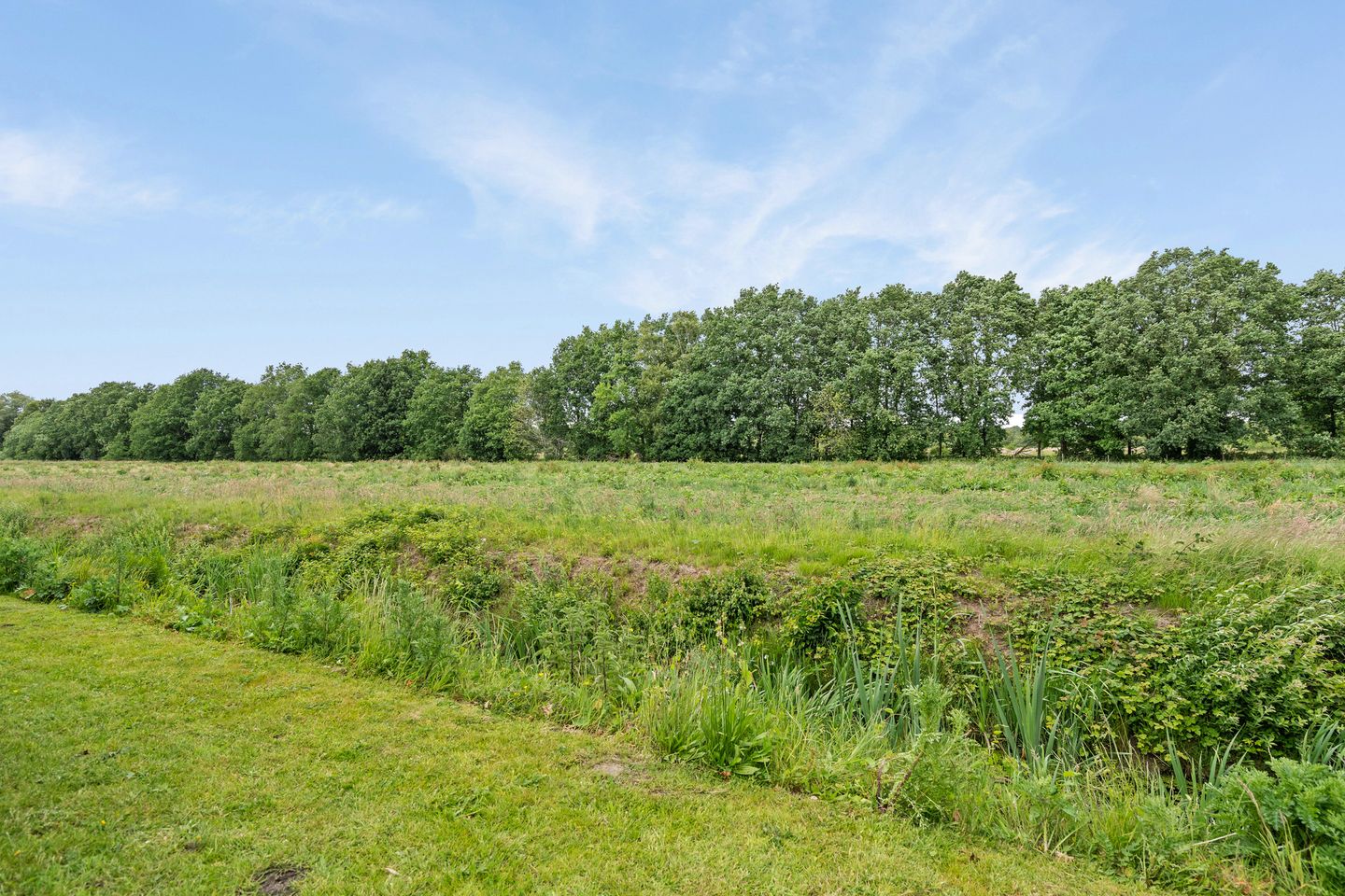 Foto 49 van Korenbloemweg 30