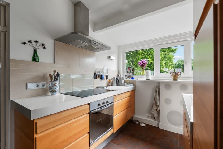 Foto 10 van Jan Springerhof 14