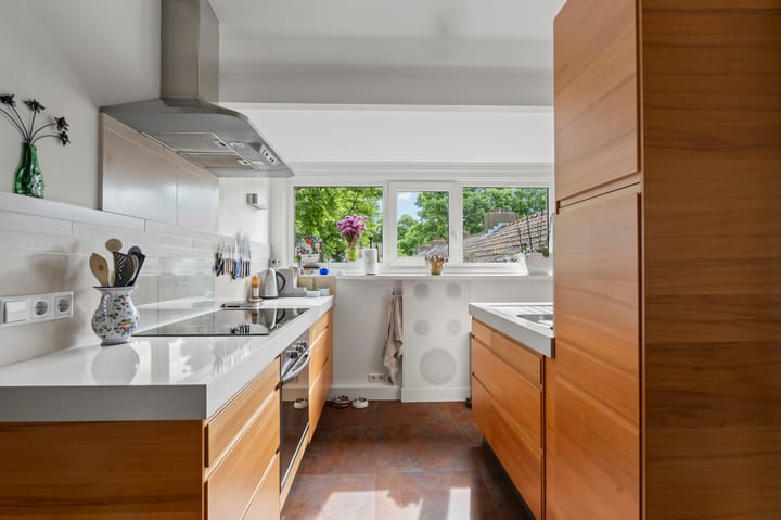 Foto 11 van Jan Springerhof 14