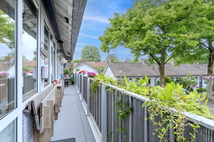 Foto 39 van Jan Springerhof 14