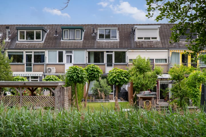 Foto 3 van Castor 45