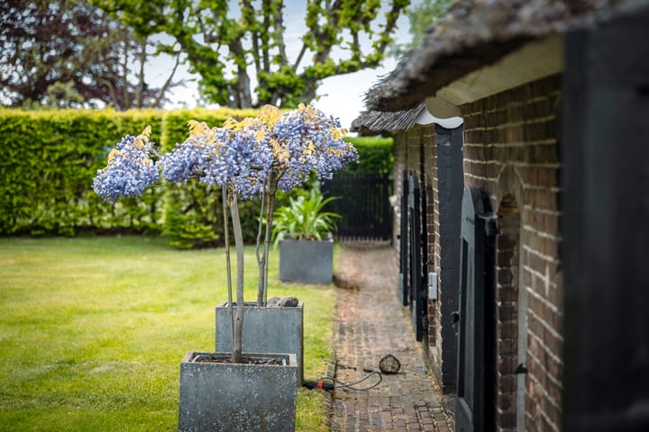 Foto 43 van Weeleweg 12-A