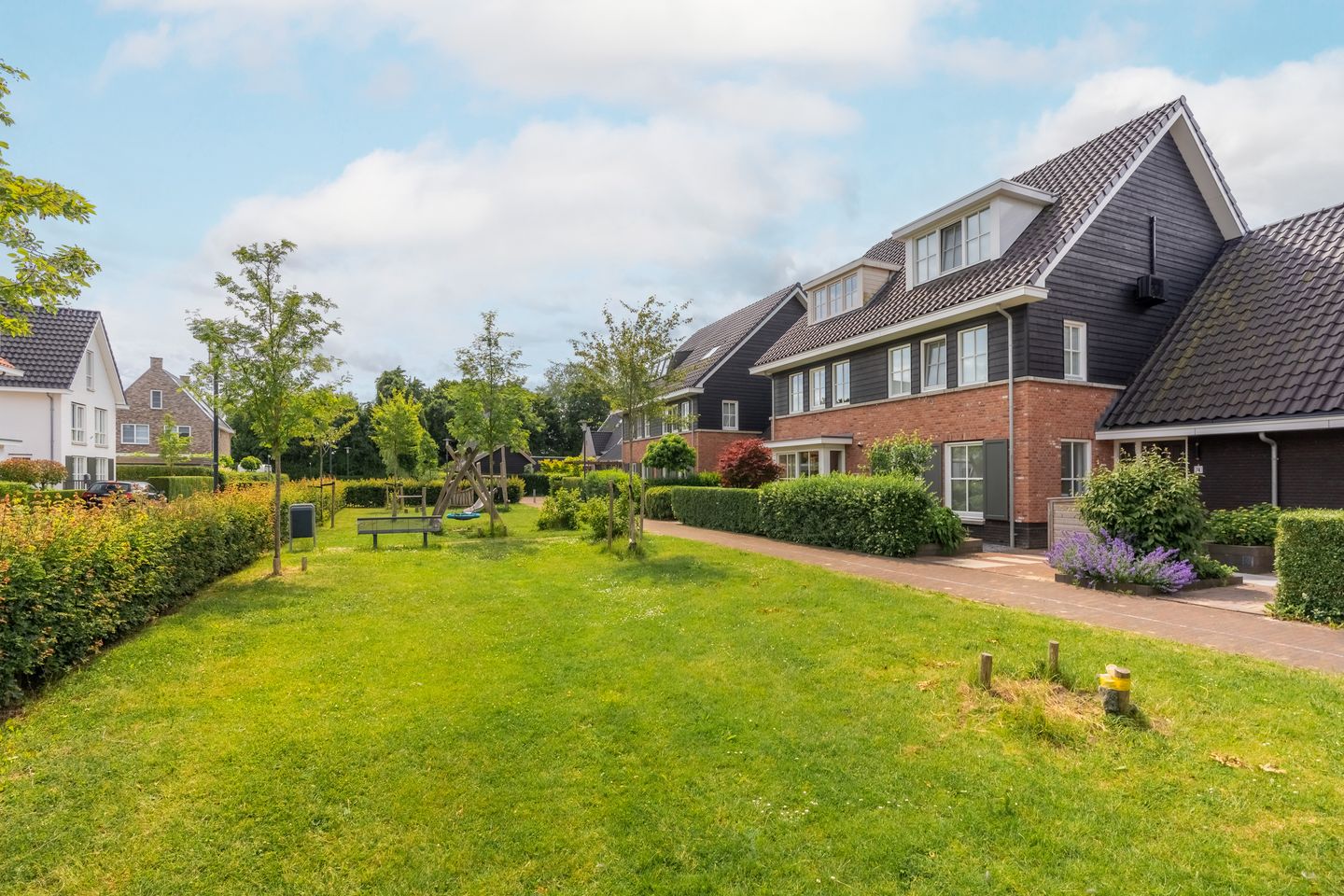 Foto 40 van Boerenzwaluwpad 16