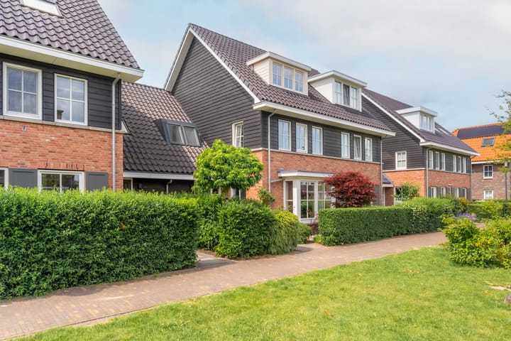 Foto 41 van Boerenzwaluwpad 16