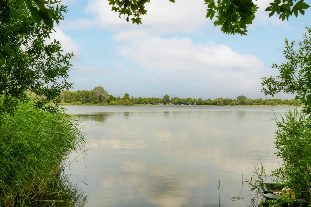 Foto 43 van Boerenzwaluwpad 16