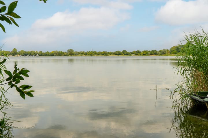 Foto 44 van Boerenzwaluwpad 16