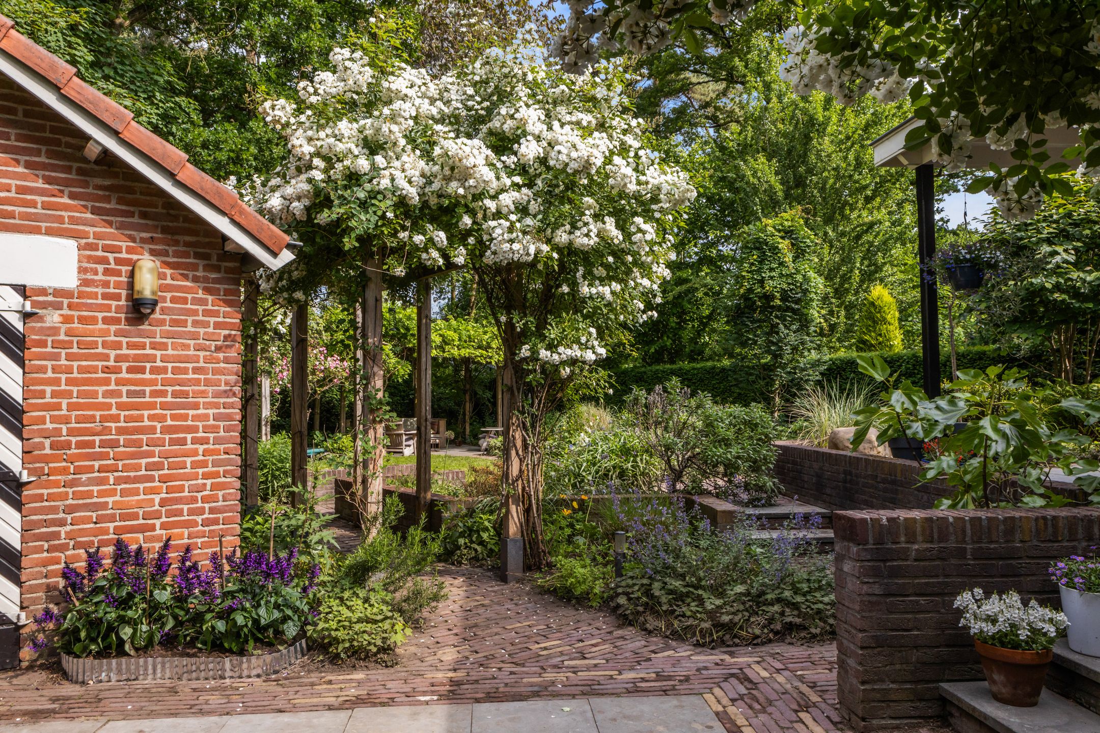 Photo 66 of Koningin Emmalaan 46