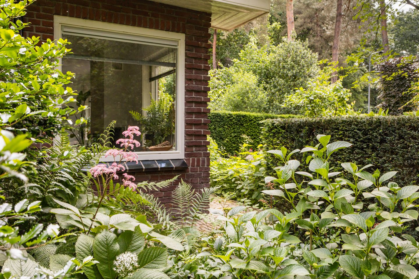 Photo 80 of Koningin Emmalaan 46