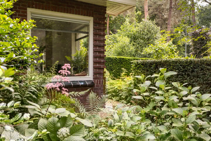 Foto 80 van Koningin Emmalaan 46