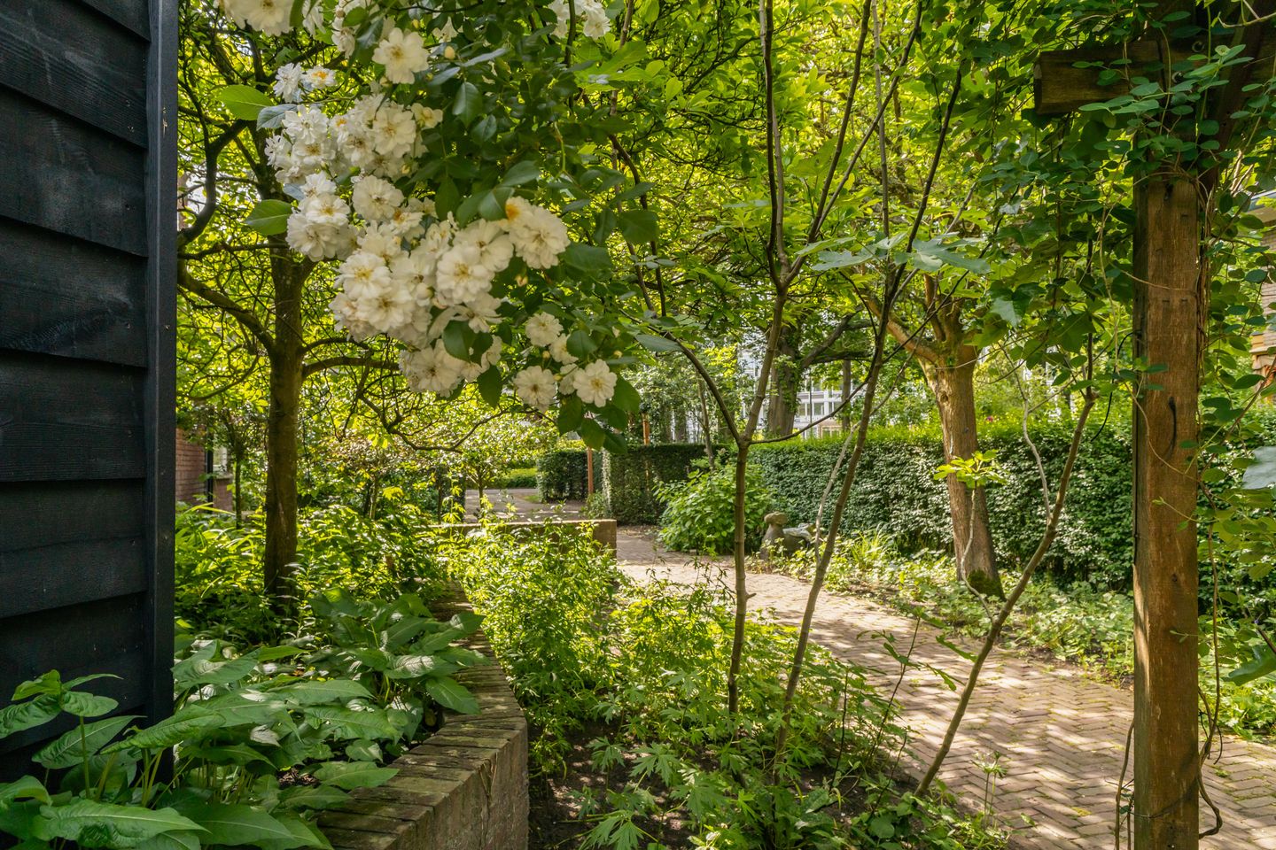 Photo 79 of Koningin Emmalaan 46