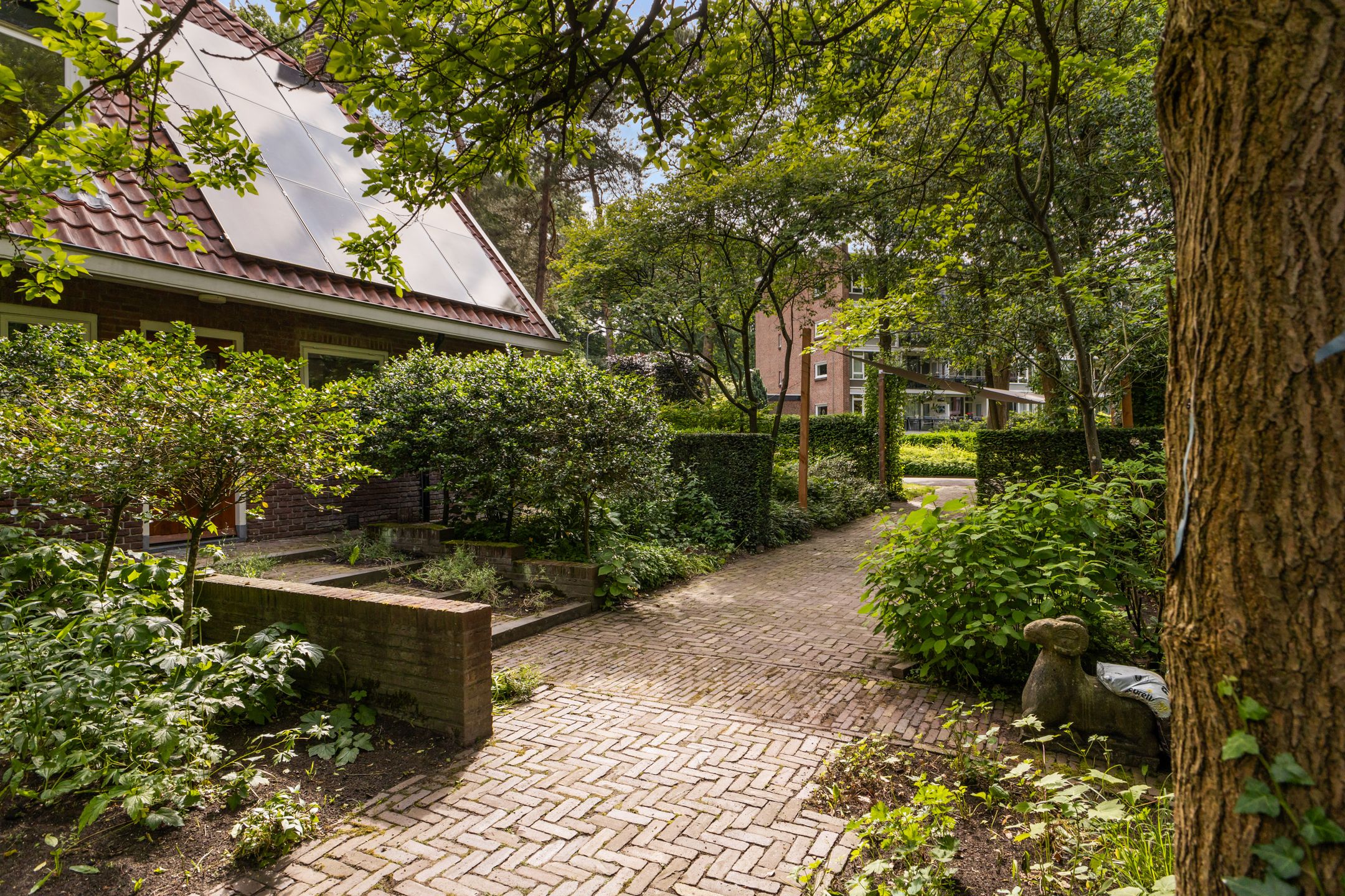 Photo 78 of Koningin Emmalaan 46