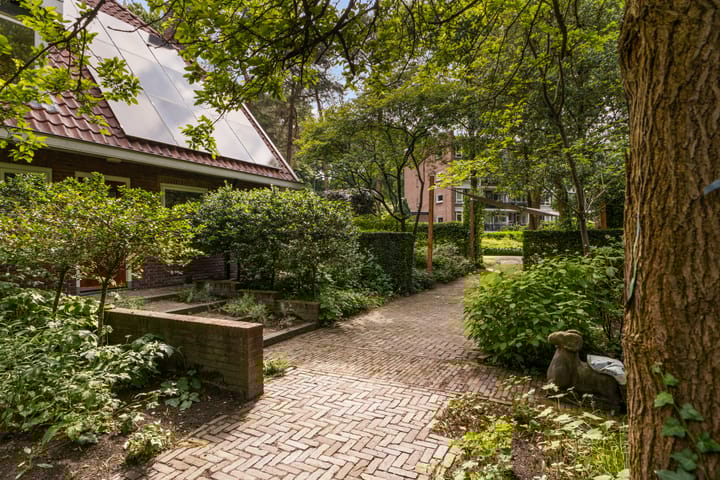 Foto 78 van Koningin Emmalaan 46