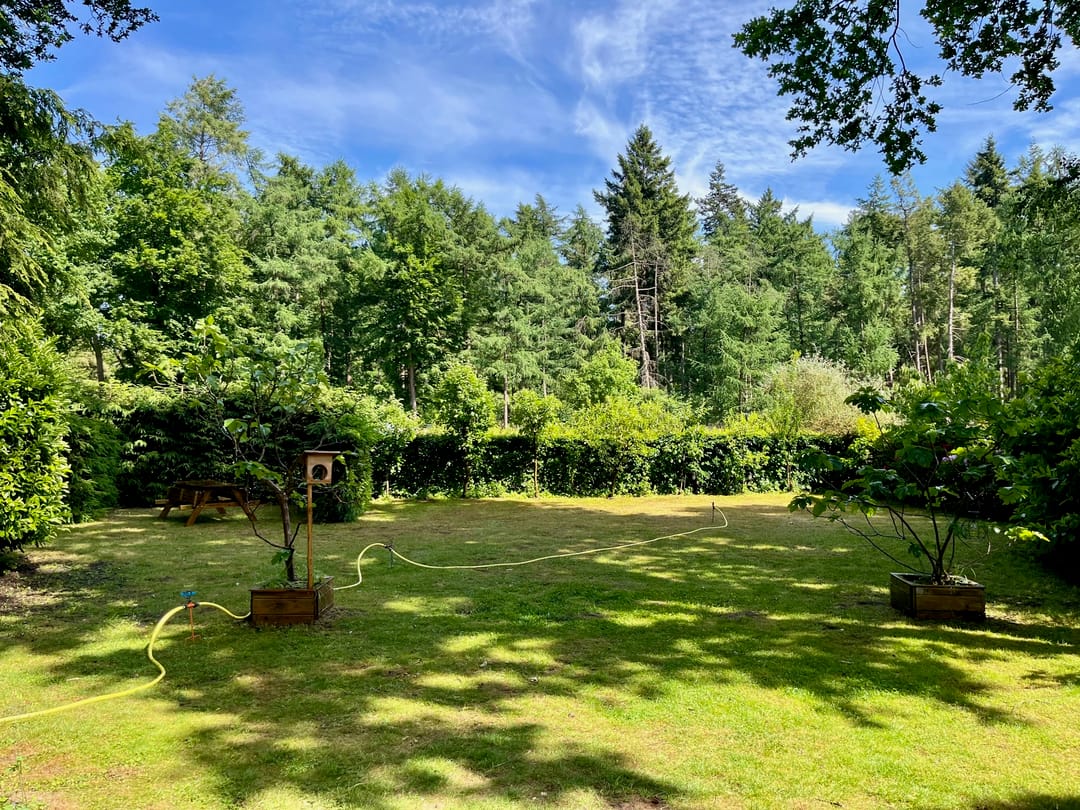 Foto 2 van Dwarsweg 6-601