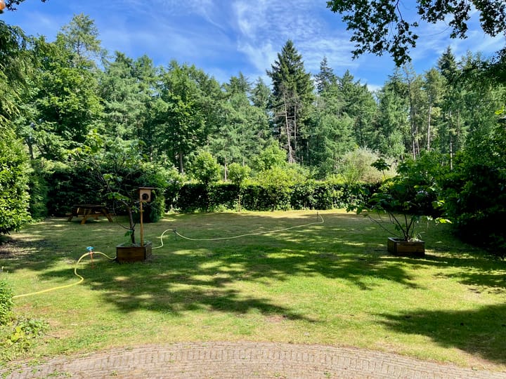 Foto 5 van Dwarsweg 6-601