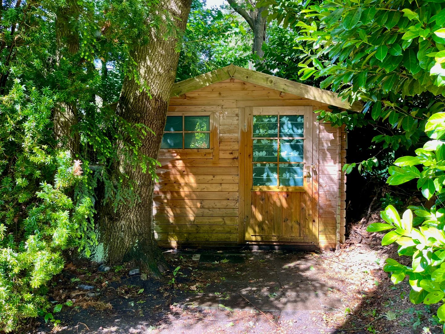 Foto 20 van Dwarsweg 6-601