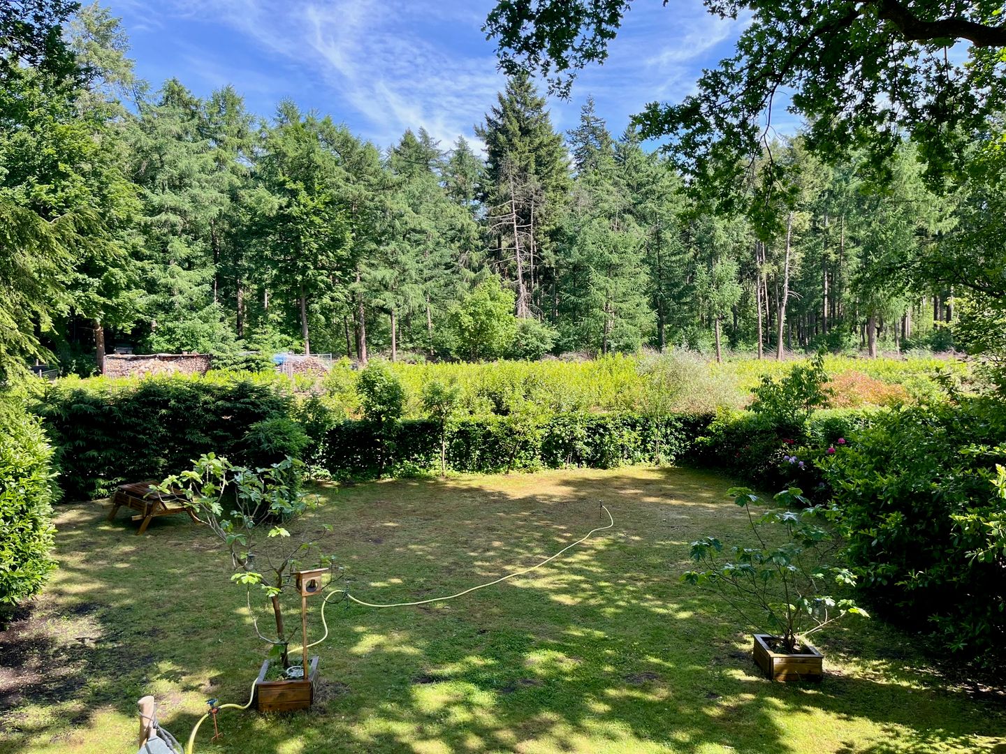 Foto 19 van Dwarsweg 6-601