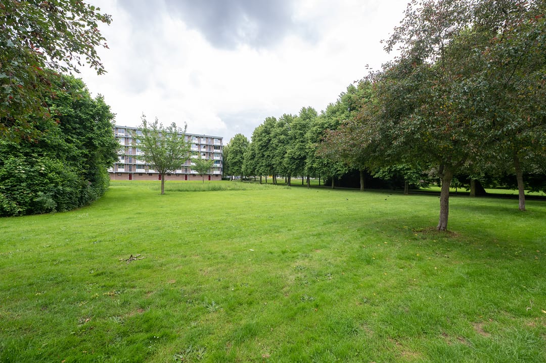 Foto 2 van Telemannstraat 113