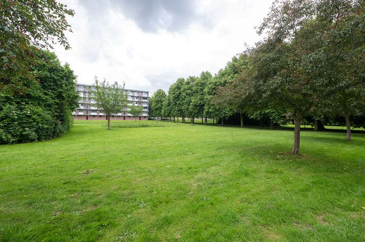 Foto 2 van Telemannstraat 113