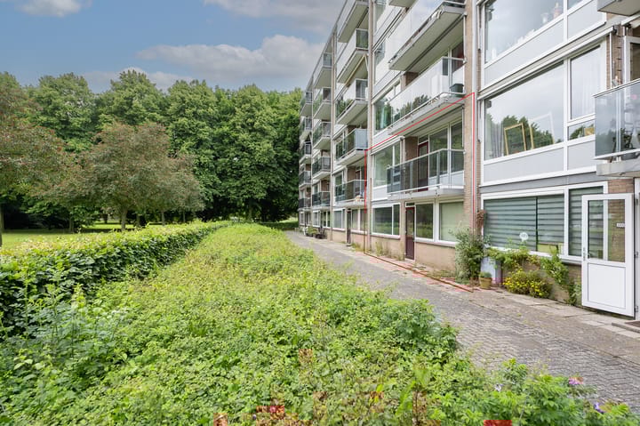 Foto 31 van Telemannstraat 113