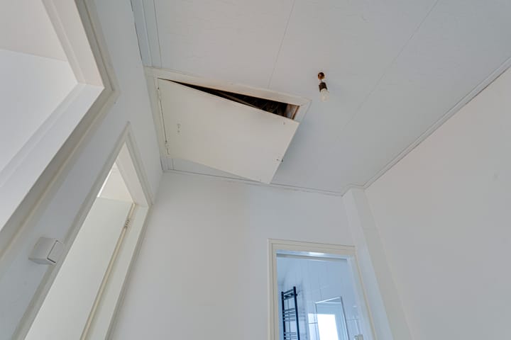 Foto 41 van Groenedaal 12