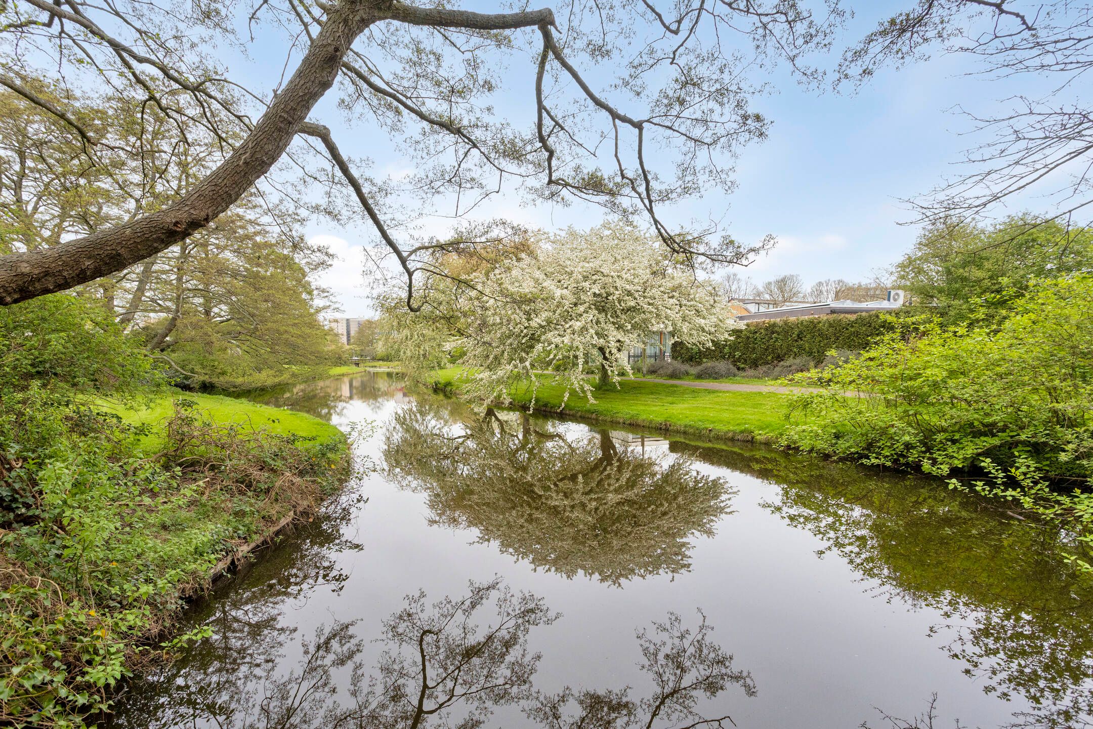 Foto 45 van Kathleen Ferrierlaan 13